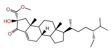 Phorbasterone D